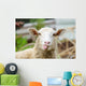 Funny Sheep Wall Decal