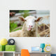 Funny Sheep Wall Decal