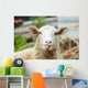 Funny Sheep Wall Decal