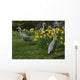 Three Herons Wall Mural
