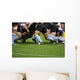rugby Wall Mural