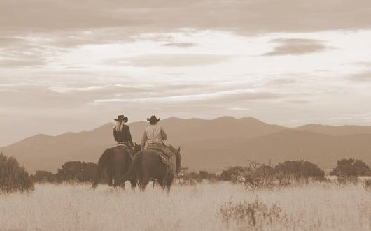Western Scene Santa Fe Wall Decal