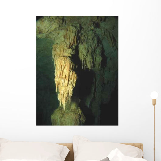 Estalactite Wall Decal