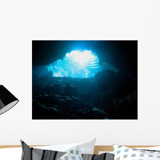 Black Silt Cave Wall Decal