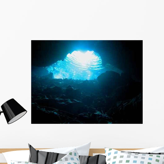 Black Silt Cave Wall Decal