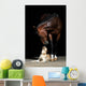 Horse and Dog Wall Mural