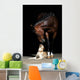 Horse and Dog Wall Mural