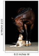 Horse and Dog Wall Mural
