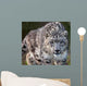 Snow Leopard Prowl Wall Mural