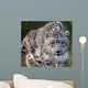 Snow Leopard on the Prowl Wall Mural