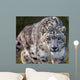 Snow Leopard on the Prowl Wall Mural