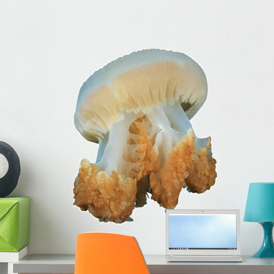 Jellyfish Jelly Fish Wall Decal shown on a wall