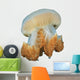 Jellyfish Jelly Fish Wall Decal