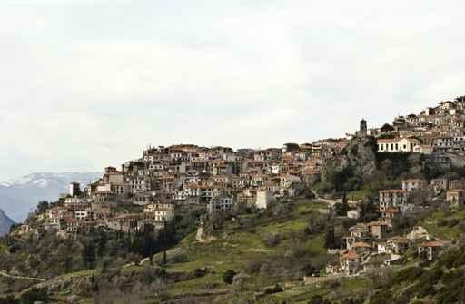 Arachova Wall Decal