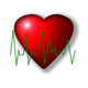 Schematic Cardiogram against Heart Background Wall Decal