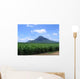 Montagna Wall Decal