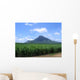 Montagna Wall Decal