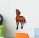 Beautiful Horse Wall Decal