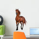 Beautiful Horse Wall Decal