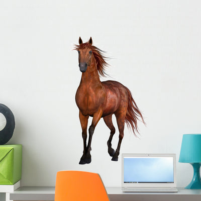 Beautiful Horse Wall Decal shown on a wall