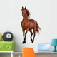 Beautiful Horse Wall Decal