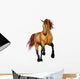 Beautiful Horse Wall Decal