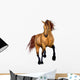 Beautiful Horse Wall Decal