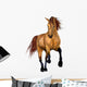 Beautiful Horse Wall Decal