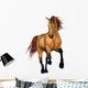Beautiful Horse Wall Decal