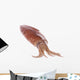 Fresh Squid Isolated Wall Decal