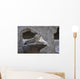 Snow Leopard Wall Mural