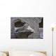 Snow Leopard Wall Mural