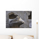 Snow Leopard Wall Mural