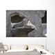 Snow Leopard Wall Mural