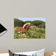 Pony - Gallop in Blumenwiese Wall Mural