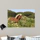 Pony - Gallop in Blumenwiese Wall Mural