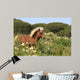 Pony - Gallop in Blumenwiese Wall Mural