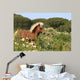 Pony - Gallop in Blumenwiese Wall Mural