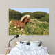 Pony - Gallop in Blumenwiese Wall Mural