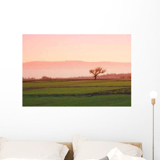 Tree Orchards Wall Decal