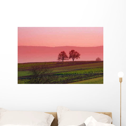 Orchard Trees Wall Decal