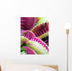 Carnivorous Plant Wall Mural