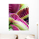 Carnivorous Plant Wall Mural