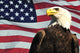 Bald Eagle and USA flag Wall Mural
