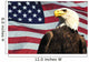 Bald Eagle and USA flag Wall Mural