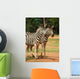 Wall Mural of 2 Zebras Wall Mural