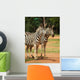 Wall Mural of 2 Zebras Wall Mural