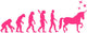 Pretty Pink Evolution Unicorn Wall Decal Sticker Set