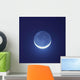 Blue Moon Shining Night Wall Decal