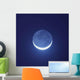 Blue Moon Shining Night Wall Decal